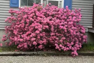 27 Oak Point Rd, Harrington, ME 04643 - Photo 26