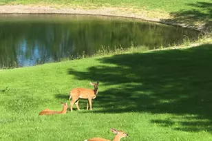 918 Main St, Calais, ME 04619 - Photo 102