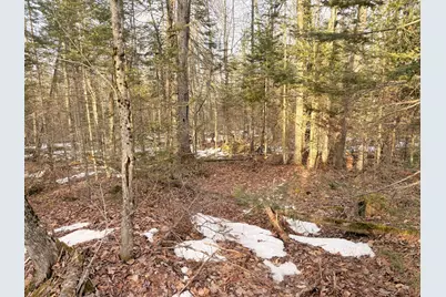 370 Maple Road, Atkinson, ME 04426 - Photo 2