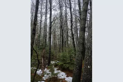 00 Harriman Road, Swanville, ME 04915 - Photo 4