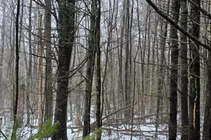 00 Harriman Rd, Swanville, ME 04915 - Photo 1