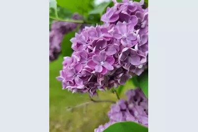 46 N Gorham Road, Gorham, ME 04038 - Photo 64