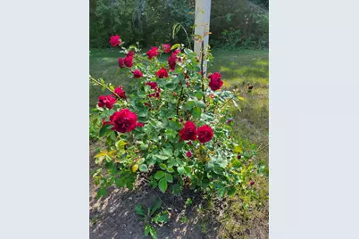 46 N Gorham Road, Gorham, ME 04038 - Photo 60