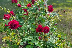 46 N Gorham Rd, Gorham, ME 04038 - Photo 60