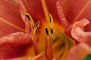 46 N Gorham Rd, Gorham, ME 04038 - Photo 66