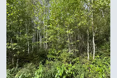 Lot 6 Black Cow Meadow Road, Northfield, ME 04654 - Photo 8