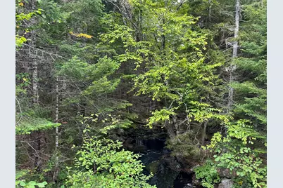 Lot 6 Black Cow Meadow Road, Northfield, ME 04654 - Photo 4