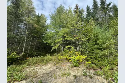 Lot 6 Black Cow Meadow Road, Northfield, ME 04654 - Photo 6