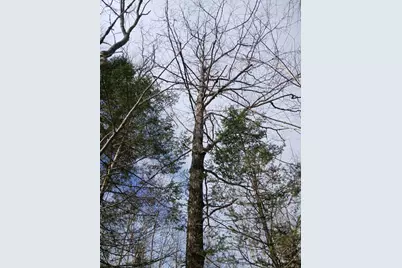 Lot 69-12 Hilltop Drive, Wiscasset, ME 04578 - Photo 2