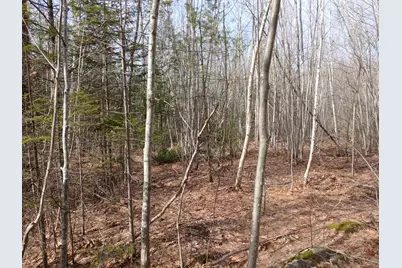 Lot 69-12 Hilltop Drive, Wiscasset, ME 04578 - Photo 4