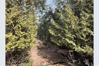 1 Gator Road, Machiasport, ME 04655 - Photo 38