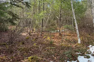 0 Northfield Rd, Marshfield, ME 04652 - Photo 1