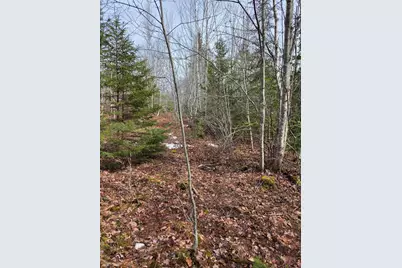 0 Lots 3&4 Northfield Road, Marshfield, ME 04654 - Photo 1