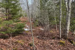 0 Lots 3&4 Northfield Rd, Marshfield, ME 04654 - Photo 1