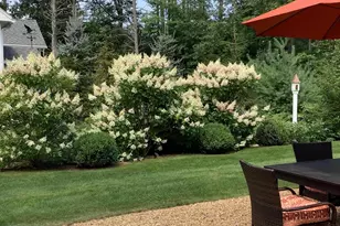 10 Driftwood Trail, Wells, ME 04090 - Photo 48