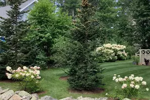 10 Driftwood Trail, Wells, ME 04090 - Photo 50