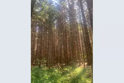 3741 Aroostook Road, Winterville Plantation, ME 04739 - Photo 26