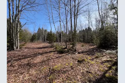 Lot 116 Bass Overlook, Waltham, ME 04605 - Photo 6