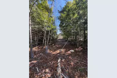 Lot 116 Bass Overlook, Waltham, ME 04605 - Photo 2