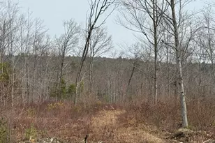 Lot A8 West Rd, Waterboro, ME 04087 - Photo 1