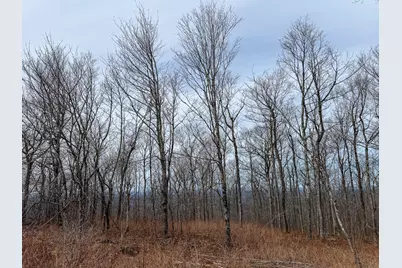 M1L22 Moosehead Trail, Dixmont, ME 04932 - Photo 12