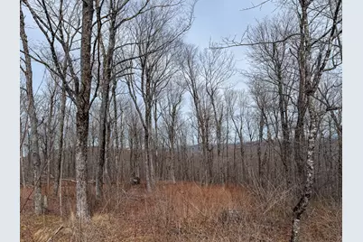 M1L22 Moosehead Trail, Dixmont, ME 04932 - Photo 14