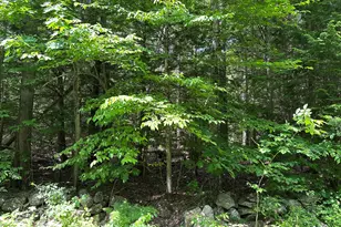 0 Dingley Rd, Bowdoinham, ME 04008 - Photo 1