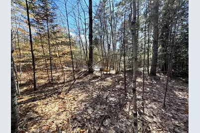 Lot 5 Lords Hill Road, Brownfield, ME 04010 - Photo 4