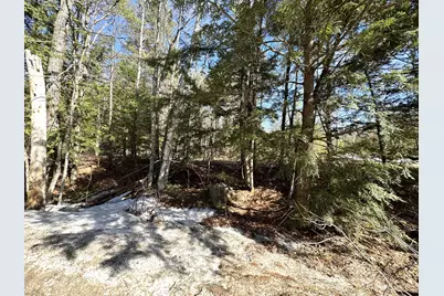 Lot 5 Lords Hill Road, Brownfield, ME 04010 - Photo 6