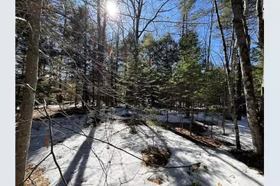 Lot 5 Lords Hill Road, Brownfield, ME 04010 - Photo 10