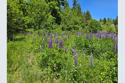 11 Sardine Way, Lubec, ME 04652 - Photo 20