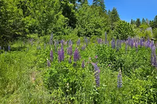 11 Sardine Way, Lubec, ME 04652 - Photo 20