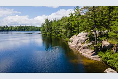 Lot 23 Northfield Road, Marshfield, ME 04654 - Photo 8