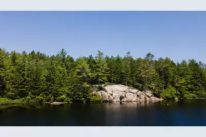 Lot 23 Northfield Road, Marshfield, ME 04654 - Photo 6