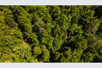 Lot 23 Northfield Road, Marshfield, ME 04654 - Photo 24