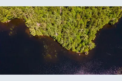 Lot 23 Northfield Road, Marshfield, ME 04654 - Photo 14