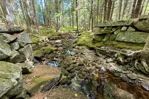 519 Norway Rd, Harrison, ME 04040 - Photo 58