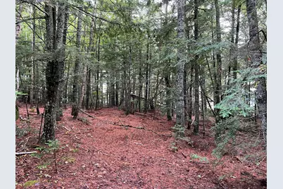 30 Moose Trail, Waltham, ME 04605 - Photo 8