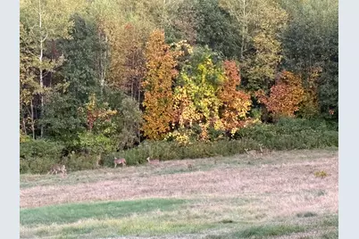 307 Route 41, Winthrop, ME 04364 - Photo 56