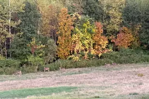 307 Route 41, Winthrop, ME 04364 - Photo 56