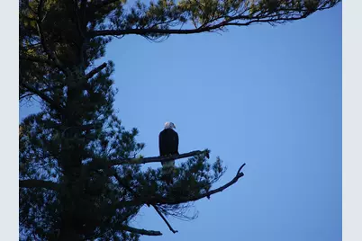 Lot 2 Marble Point Road, Mount Vernon, ME 04352 - Photo 30