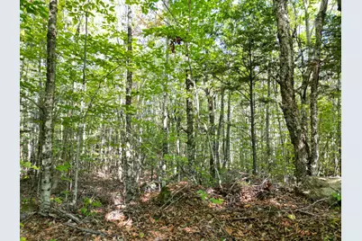 73 Homestead Drive, Lakeville, ME 04487 - Photo 28