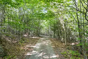 73 Homestead Dr, Lakeville, ME 04487 - Photo 6