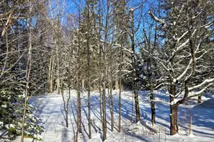 22 Robbins Nest Ln - Build Site, Dallas Plt, ME 04970 - Photo 32