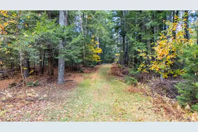 Lot 15 Gibbs Road, Wiscasset, ME 04578 - Photo 4