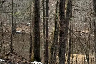 1148 Kenduskeag Ave, Bangor, ME 04401 - Photo 10