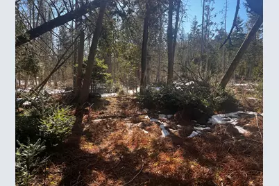 1148 Cape Rosier Road, Brooksville, ME 04617 - Photo 8