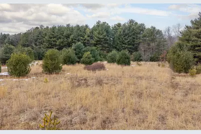 Lot 2 Clarks Mills Road, Dayton, ME 04005 - Photo 12