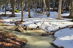 15 Farrar Dr, Dover Foxcroft, ME 04426 - Photo 56