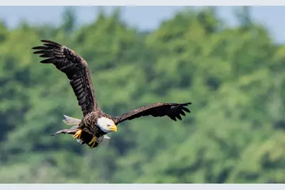 46 River Edge Drive, Woolwich, ME 04579 - Photo 184